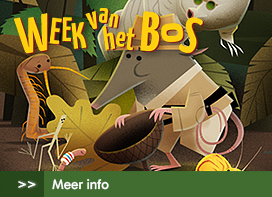 energiefeest